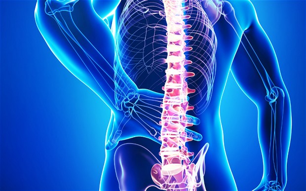 Spinal manipulation includes moving and jolting joints, massage, exercise and physical therapy.